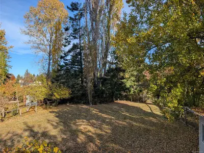 View 19