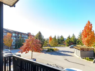 View 24
