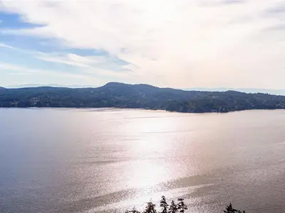 View 29