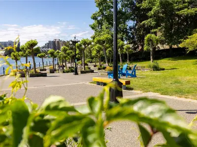 View 46