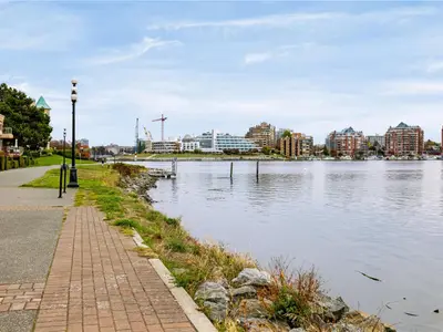 View 36