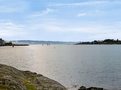 View 31