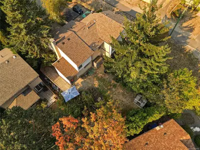 View 31