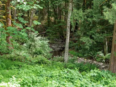 View 26