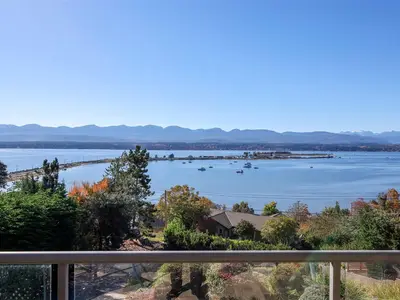 View 39