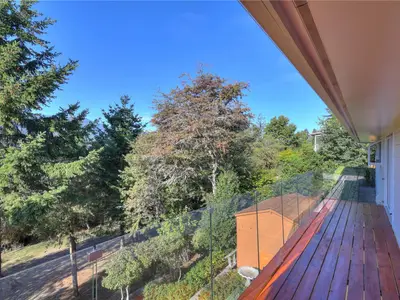 View 53
