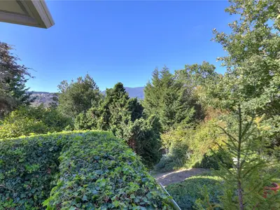 View 49