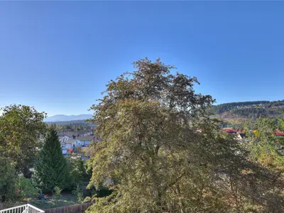 View 51