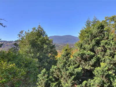 View 50