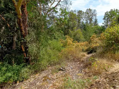 View 45