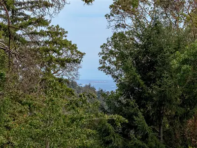 View 37