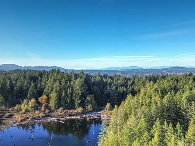 View 25