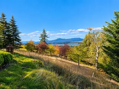 View 74