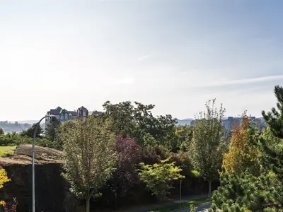 View 28