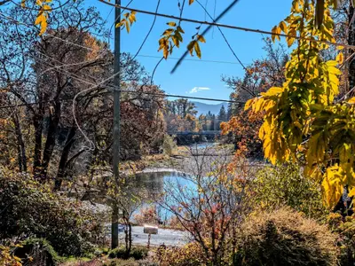 View 43