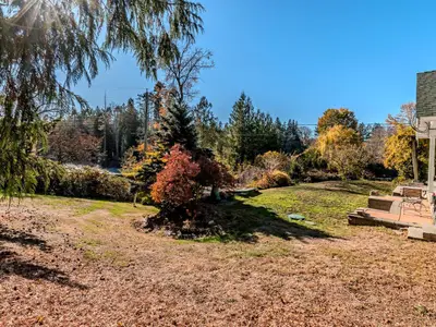 View 54