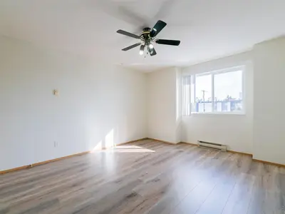 View 14