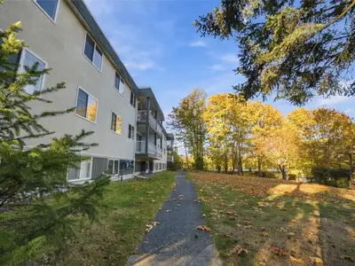 View 24