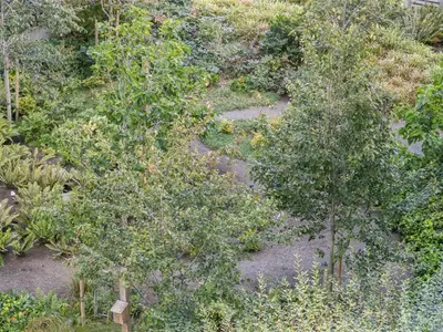 View 11