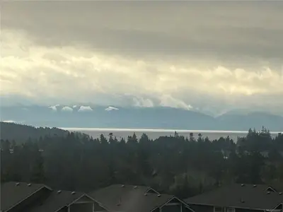 View 49