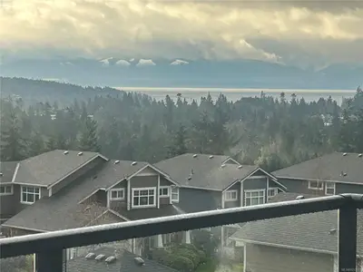 View 51