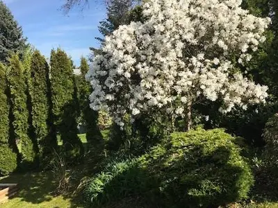 View 79