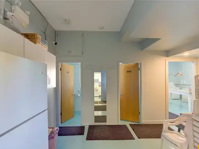 View 65