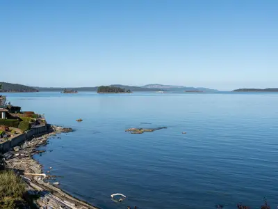 View 12