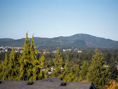 View 49
