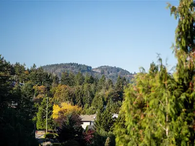 View 50