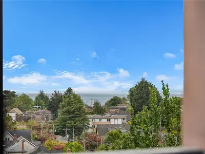 View 18