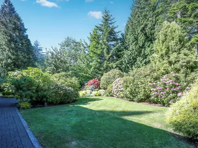 View 37