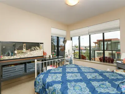 View 24