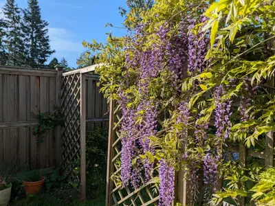 View 52