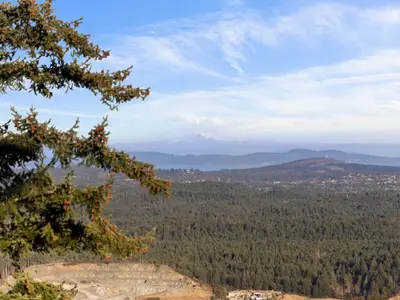 View 22