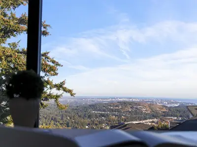 View 31