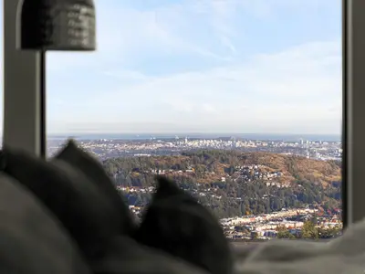 View 39