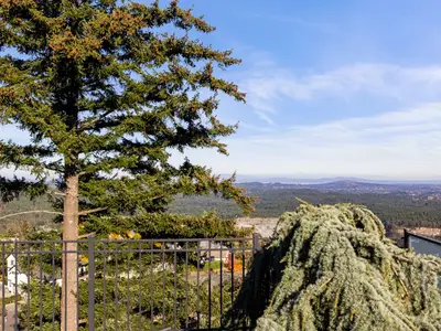 View 78