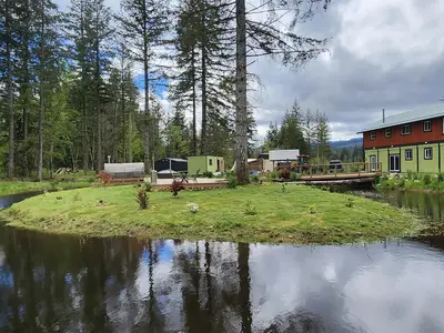 View 50