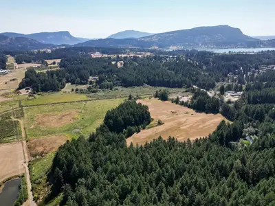 View 95