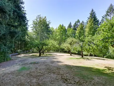 View 84
