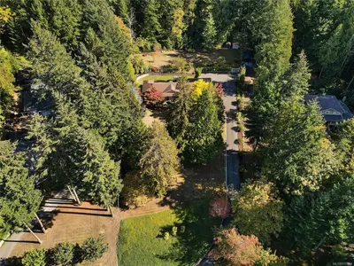 View 99