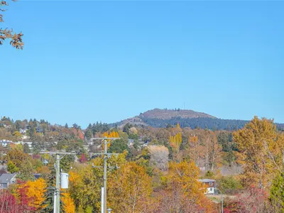 View 16