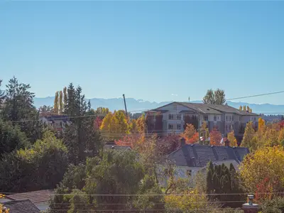 View 14