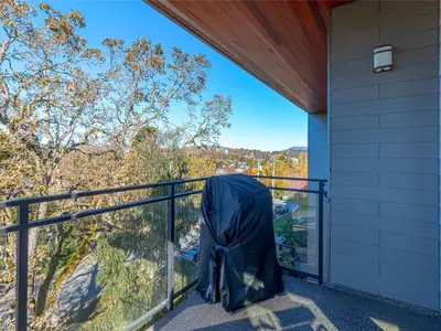 View 15