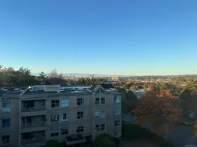 View 23