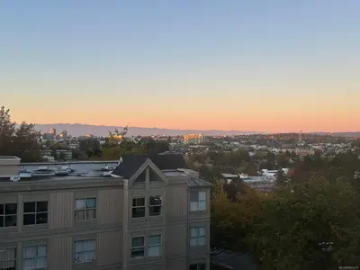 View 24