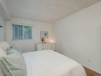 View 15
