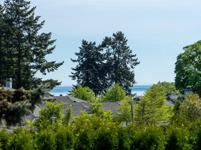View 21