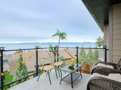 View 14
